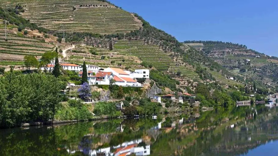 Quinta De La Rosa