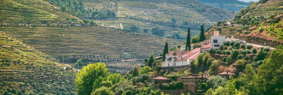 Douro riverside hillside village