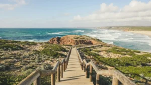 Coastal Boardwalk Path