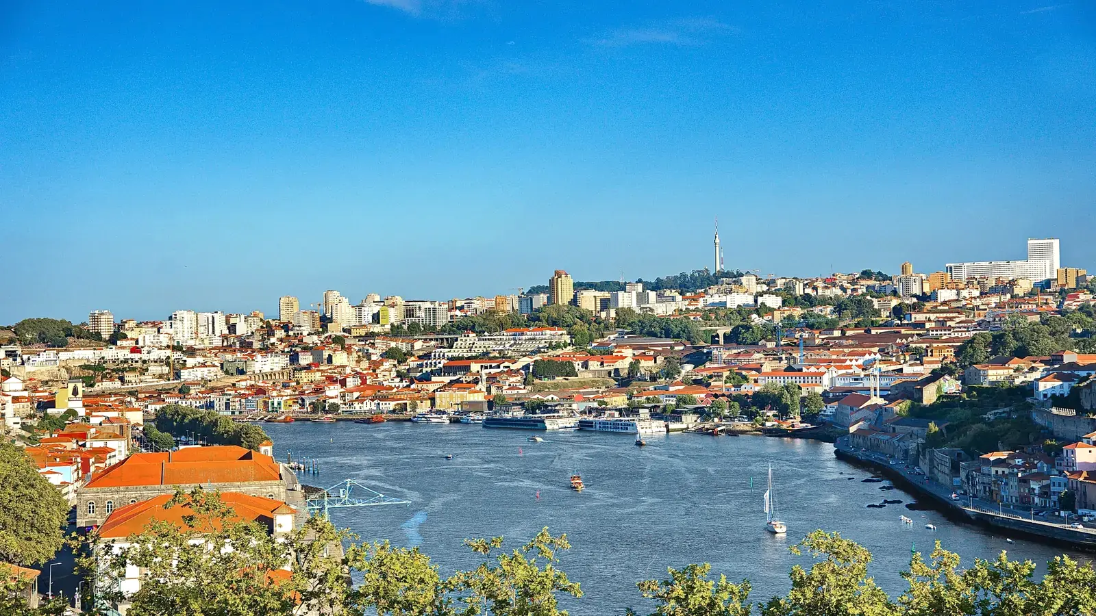 Porto Douro River Cityscape