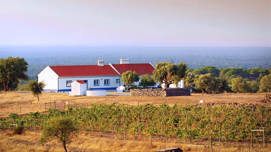 Alentejo House